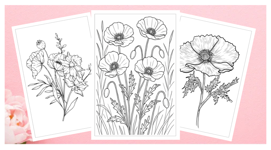 Poppy Coloring Sheets: Discover Poppy Flower Colors