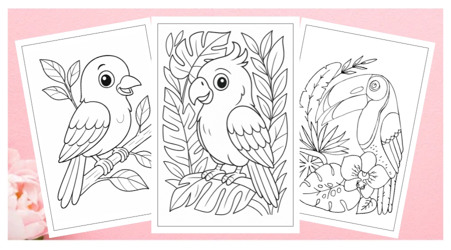 Bird Coloring Pages for Kids and Adults